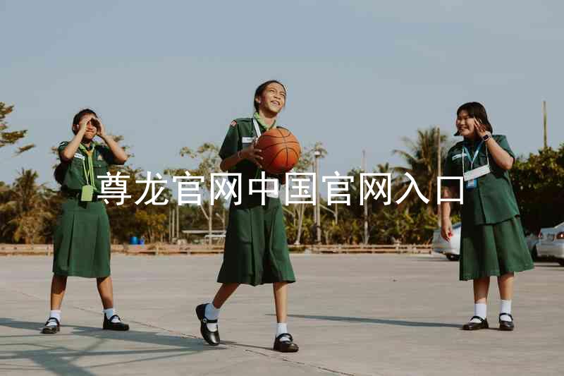 尊龙官网中国官网入口